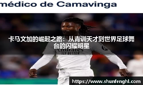 BB贝博登录入口