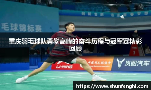 BB贝博登录入口