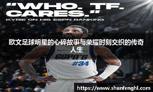 BB贝博登录入口