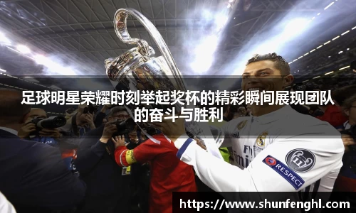 BB贝博登录入口