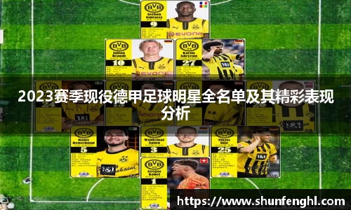 2023赛季现役德甲足球明星全名单及其精彩表现分析