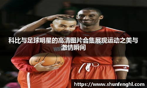 BB贝博登录入口