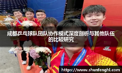 成都乒乓球队团队协作模式深度剖析与其他队伍的比较研究