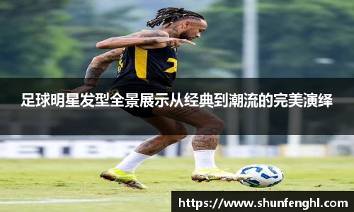 BB贝博登录入口